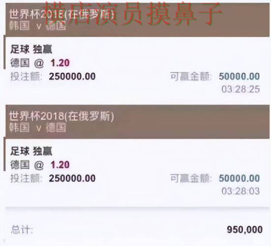 世界杯投注平台推荐：用户反馈全指南 - 世界杯赛事中心