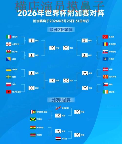 World Cup 2026期间热门世界杯投注入口深度评测与直播入口分析