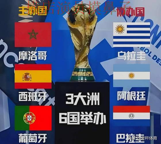 世界杯官方信息期间热门世界杯竞猜网站全面分析与直播入口分析